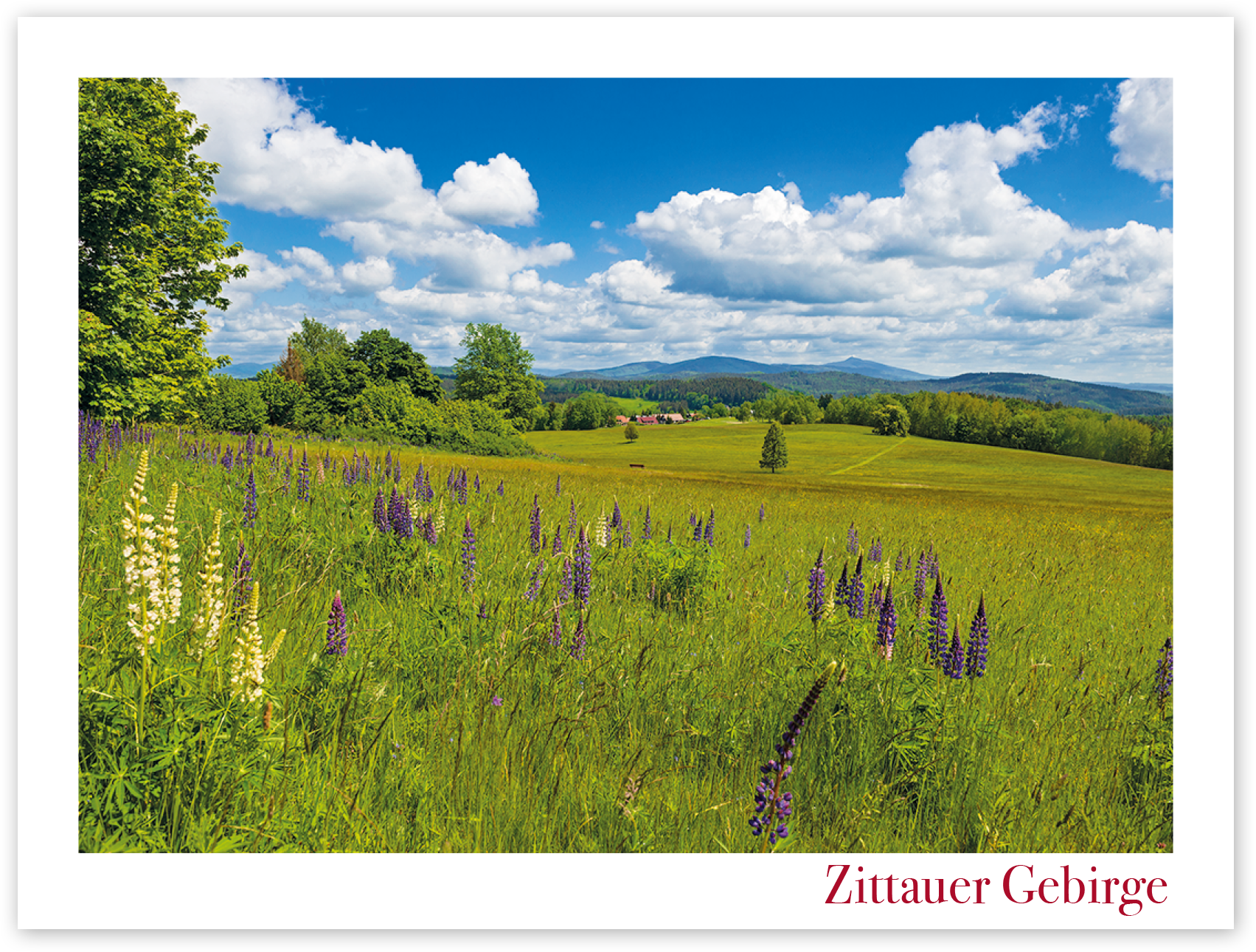 Magnet Zittauer Gebirge – Luftkurort Lückendorf