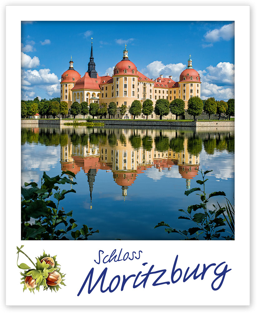 Magnet Moritzburg – Das Schloss Moritzburg